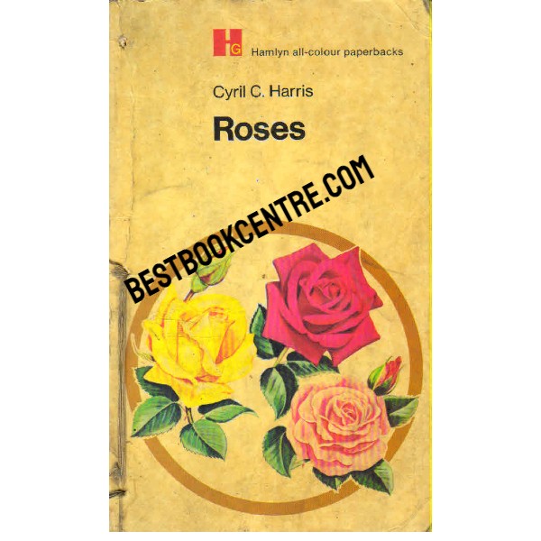 Roses Hamlyn