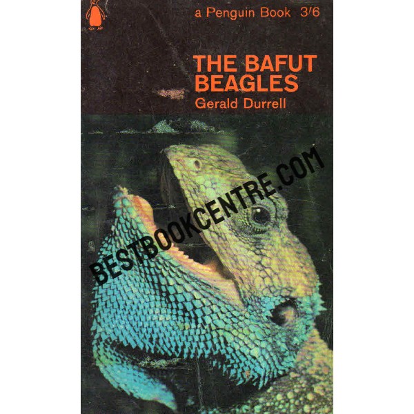The Bafut Beagles