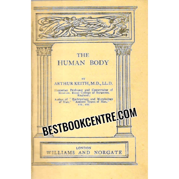 the human body 