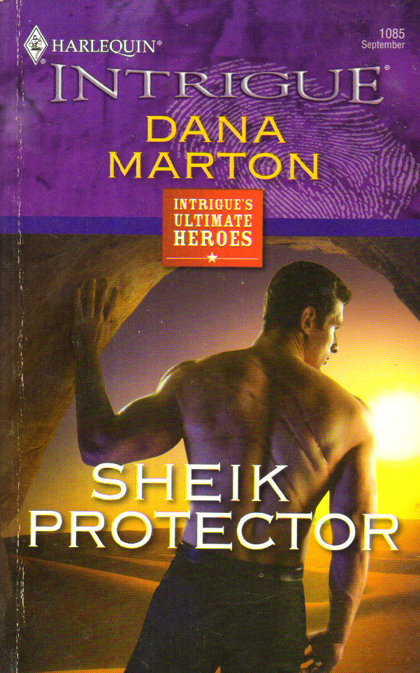 Sheik Protector