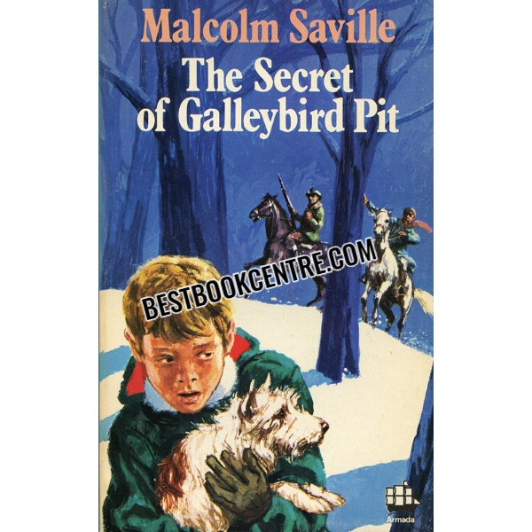 The secret of Galleybird Pit 