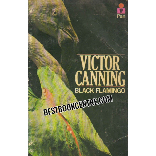 black flamingo 