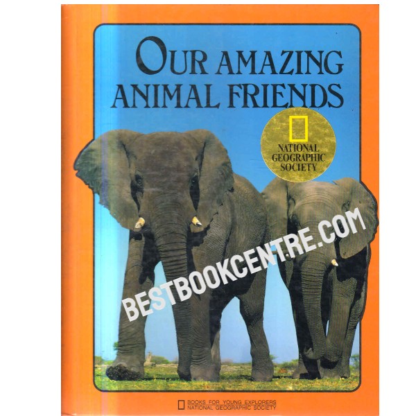 Our Amazing Animal Friends