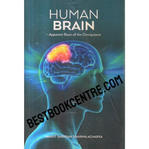 human brain