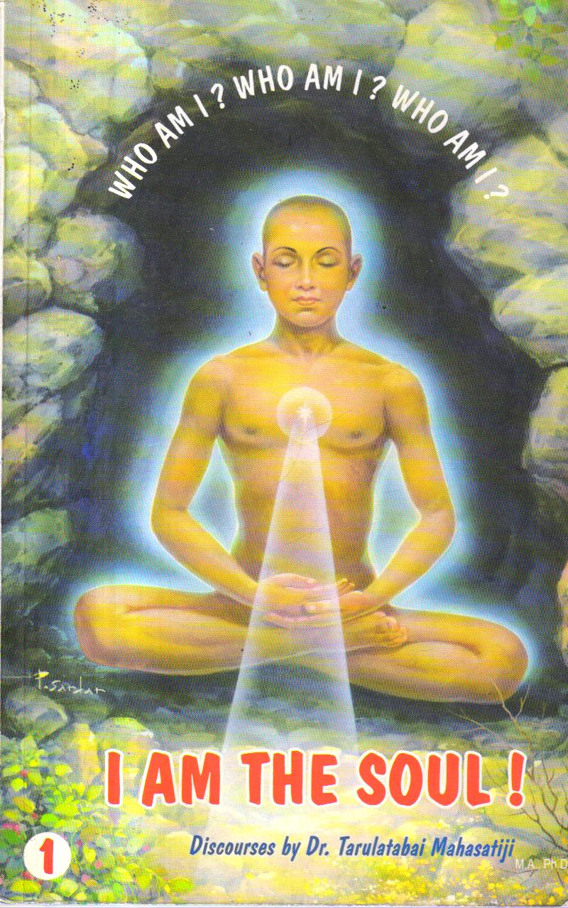 I Am The Soul (volume1,2) two books set