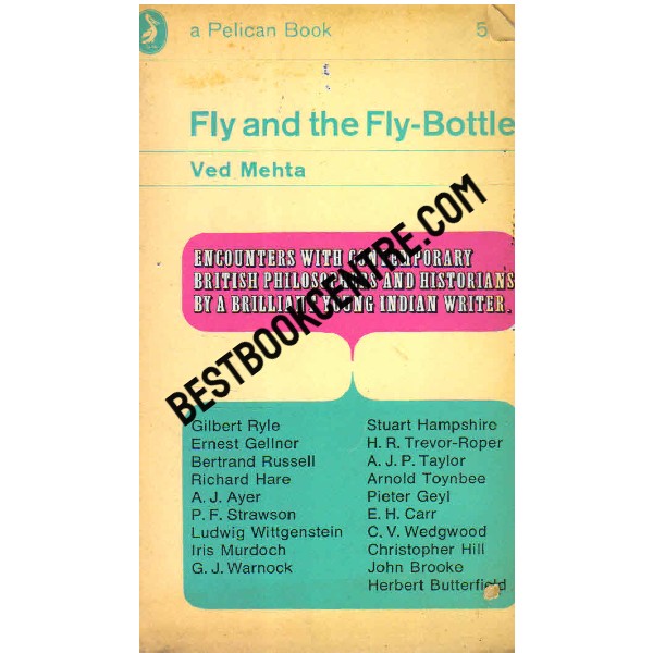 Fly and the Fly Bottle