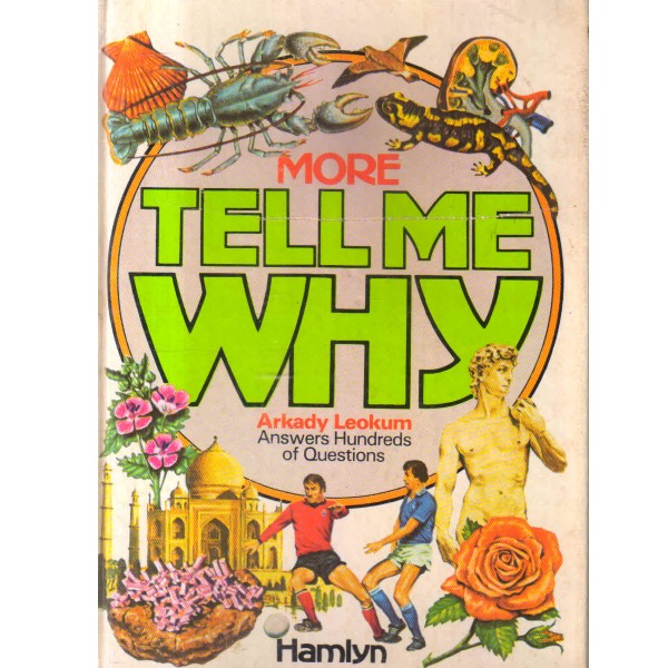 more tell me why