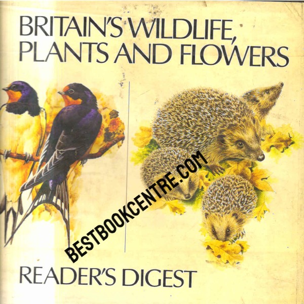 Britain Wildlife Plants and Flowers 1st editionq