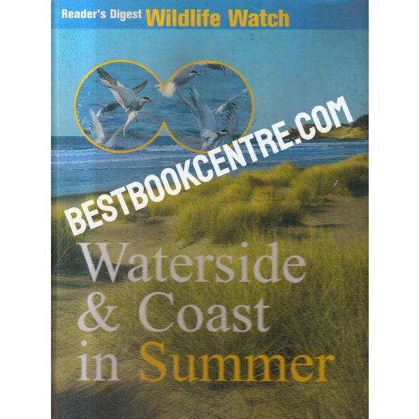waterside and coast in summer