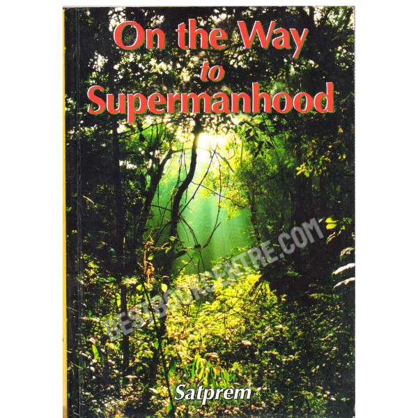 On The Way To Supermanhood