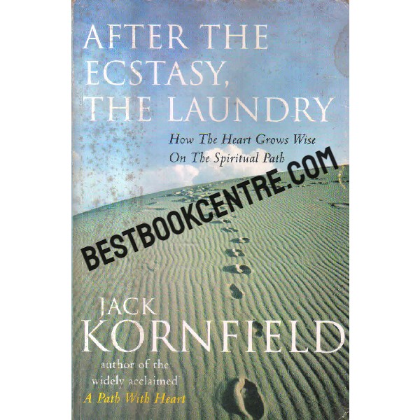after the ecstasy the laundry