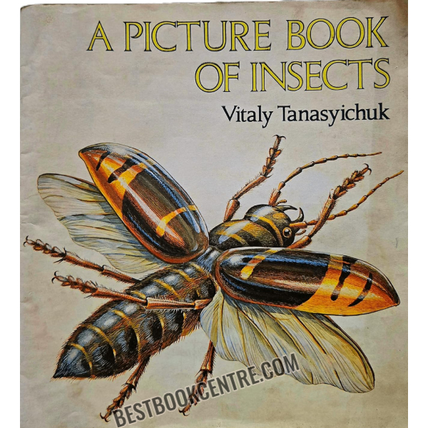 a picture book of insects 