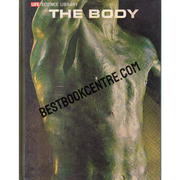 the body