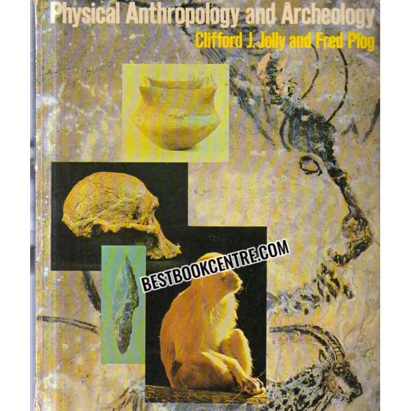 physical anthropolgy and archeology 