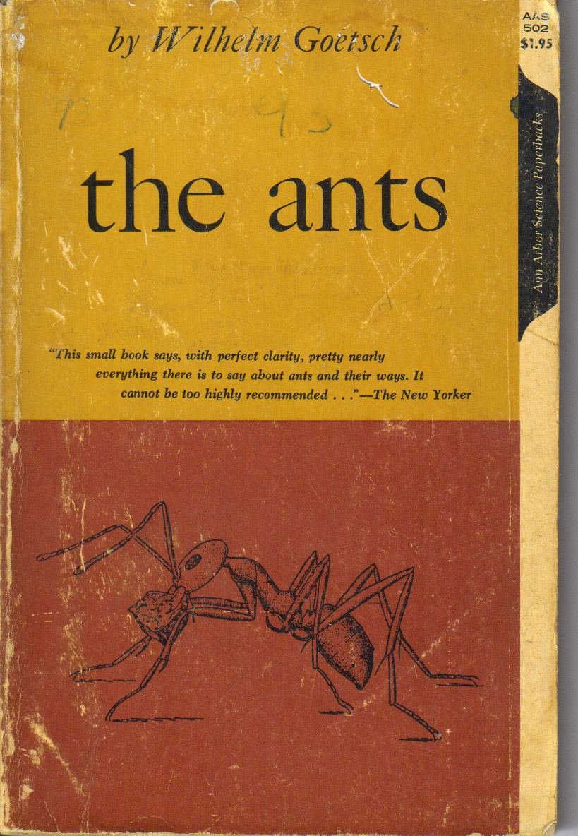 We are the ants bapmafia