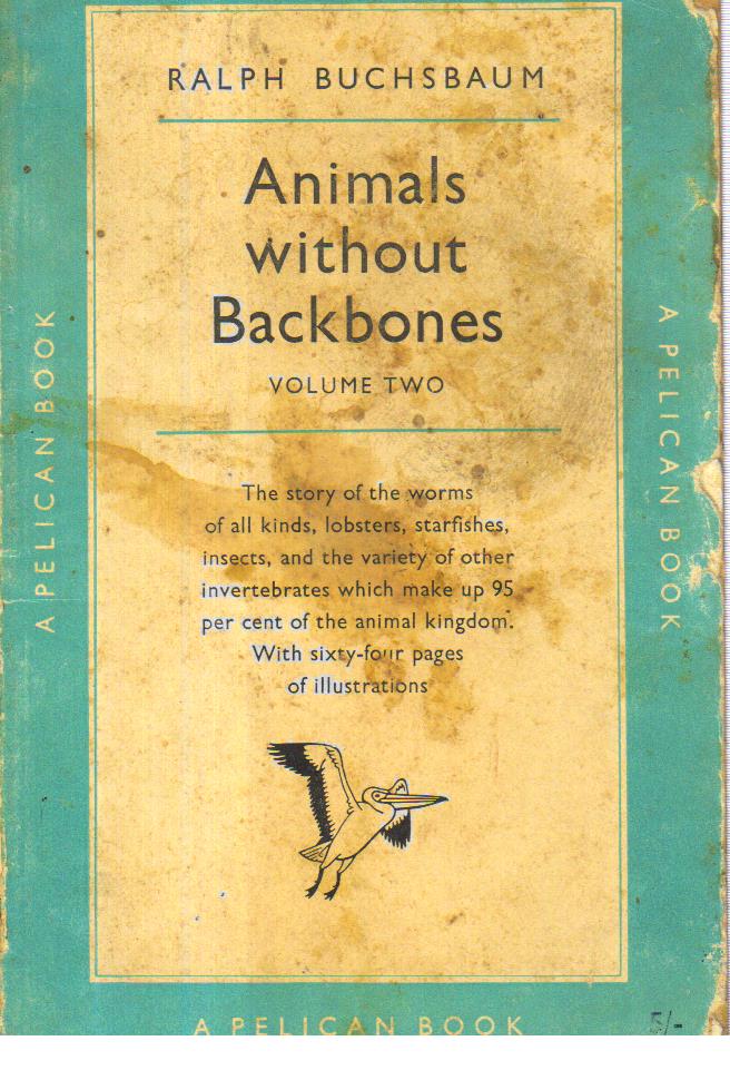 Animals Without Backbones book at Best Book Centre.