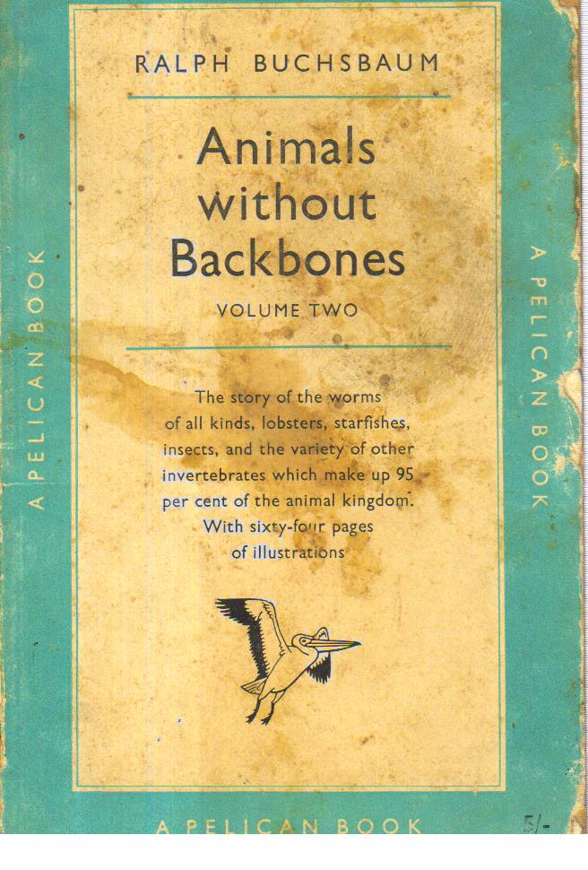 Animals Without Backbones