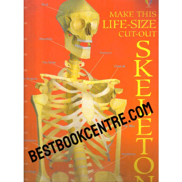 Usborne make this life size model skeletion