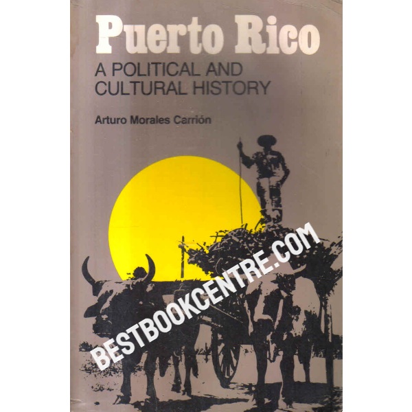 a political and cultural history 1st edition
